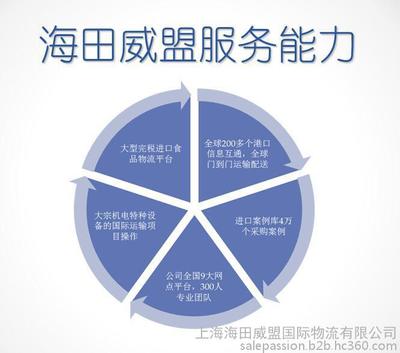 青岛港洗发水进口报关手续与代理服务详解——上海海田威盟国际物流的专业支持